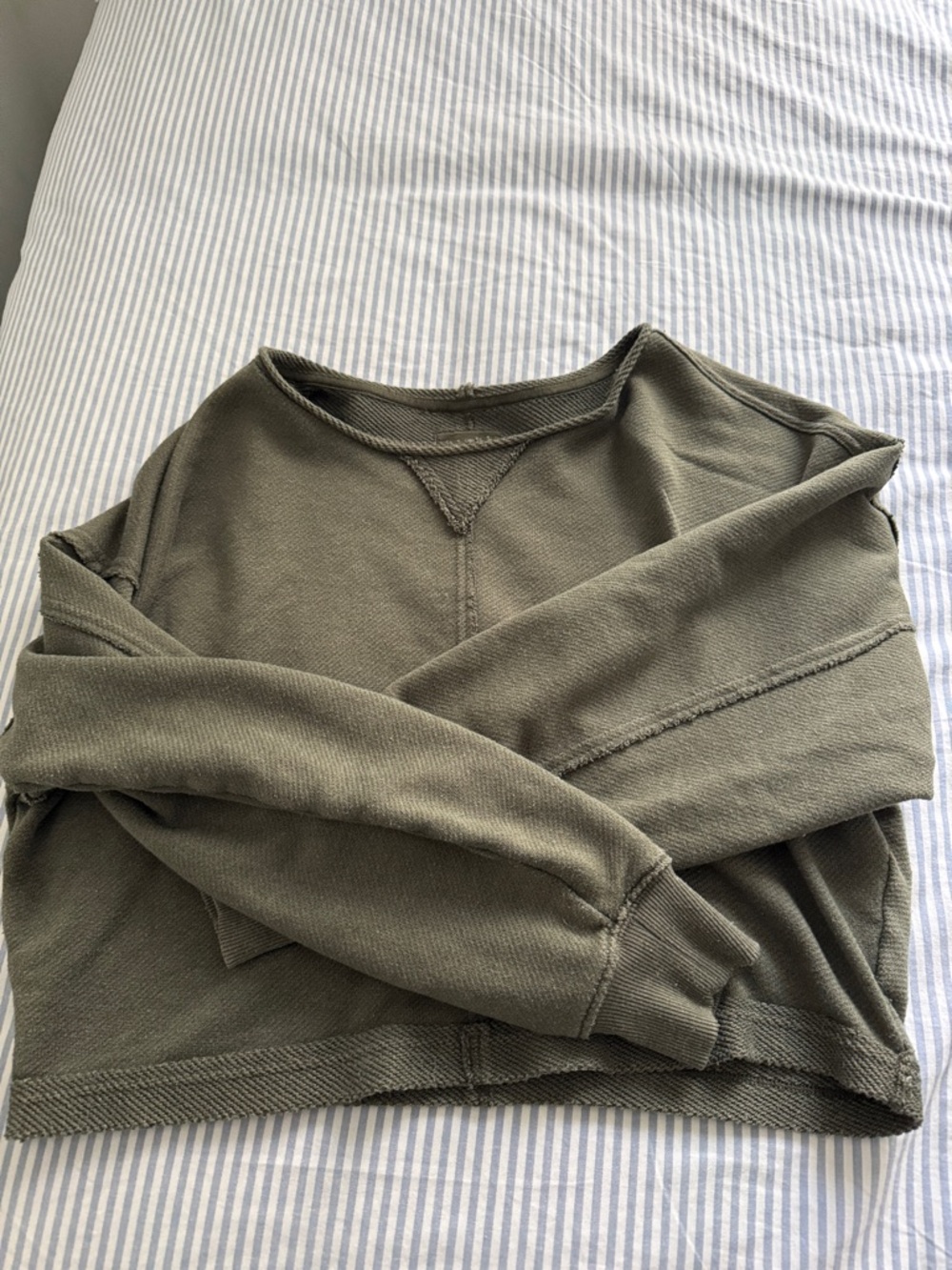 Aerie Olive Green Cropped Crewneck Sweatshirt